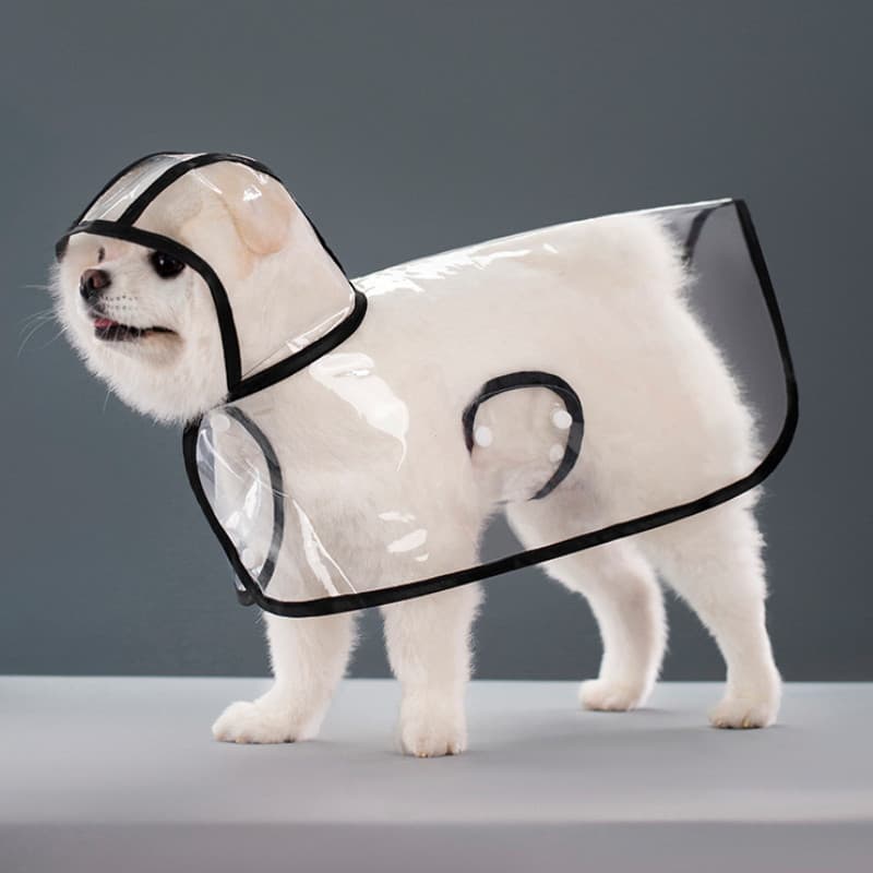 Capa De Chuva Transparente À Prova D'água Para Cachorro Com Capuz Gato Shih Tzu