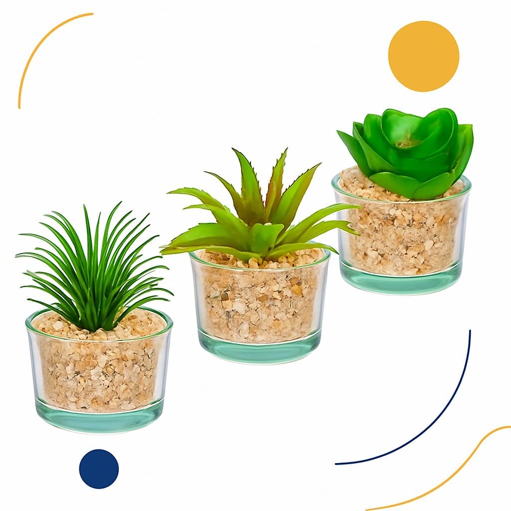 TRIO DE SUCULENTAS NO VASO DE VIDRO PARA DECORAÇÃO