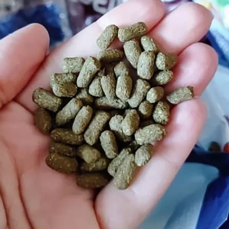 Black Friday Ração Serelepe 750g para Roedores (02 un)