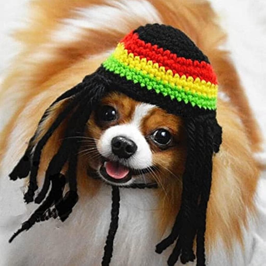 Chapéu de tricô para cães com dreadlocks, gorro de lã de inverno para cães, acessório estiloso para gatos, fantasia de f