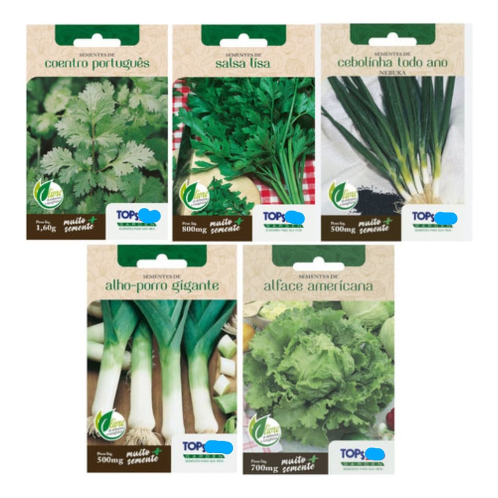 1000 Sementes Salsa,cebolinha,coentro,couve,alface,alhoporo