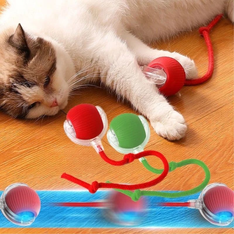 Bola Brinquedos De Rolamento Automático Cauda Do Falso Recarregável Bola Inteligente Gato Interativo WL-2550