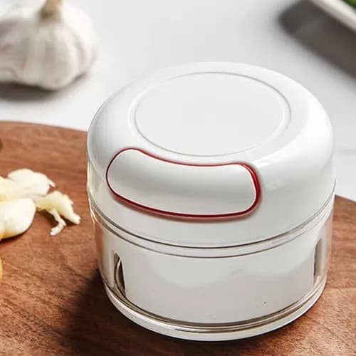 Mini Processador De Alimentos Manual Unyhome
