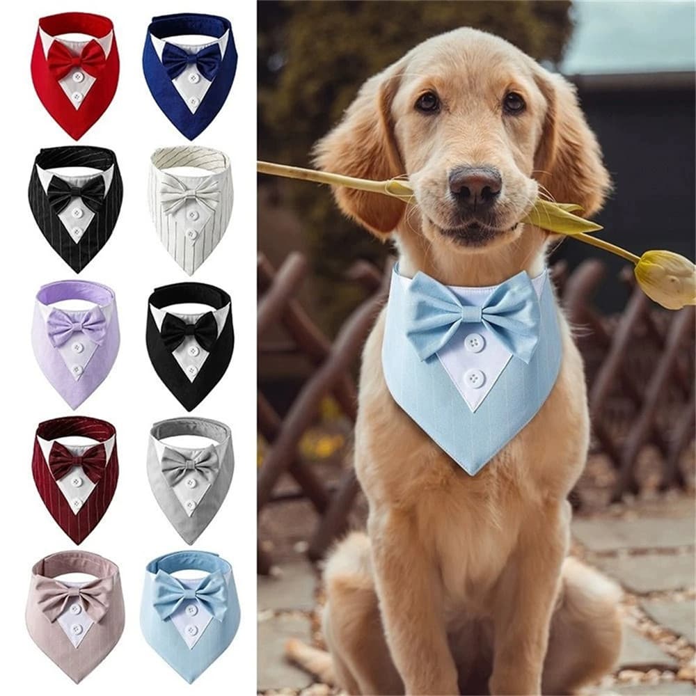 Casamento Grande Cão Triângulo Cachecol Com Gravata Borboleta Bonito Pet Bandana Para Pequenos Cães Grandes Golden Retri