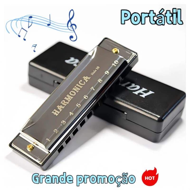 Gaita Harmônica Blues Swan Em Dó C 10 Furos,20 Vozes Diatônica instrumento de sopro com Estojo