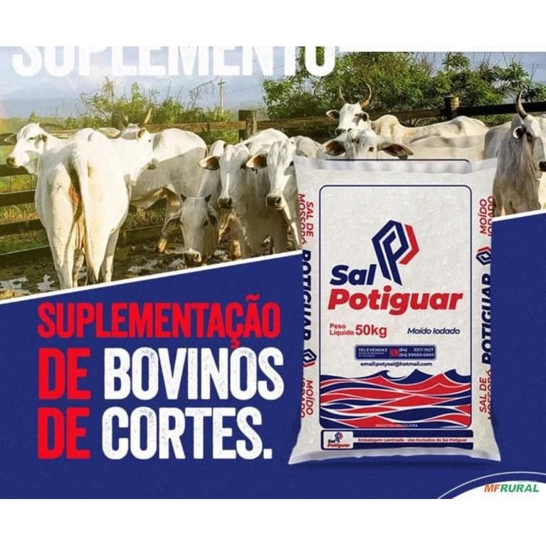 Sal Mineral Refinado BRANCO para Bovinos, Ovinos e Caprinos