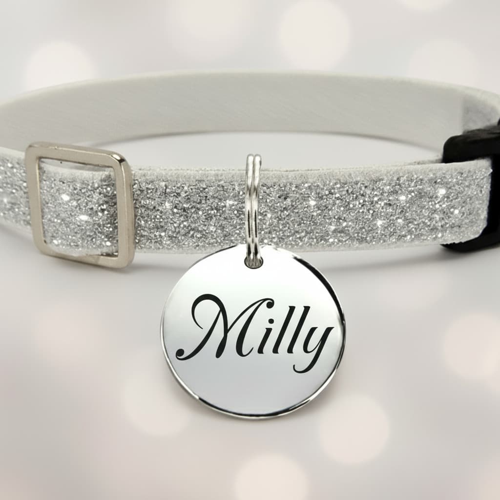 Coleira  Gatos e Cães Elástica Nome Telefone Aço Inox