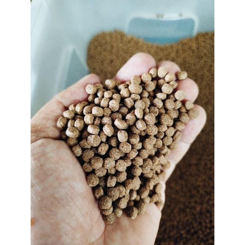 Ração NUTRITIVA 5mm para Tartarugas Répteis e Peixes Filhotes