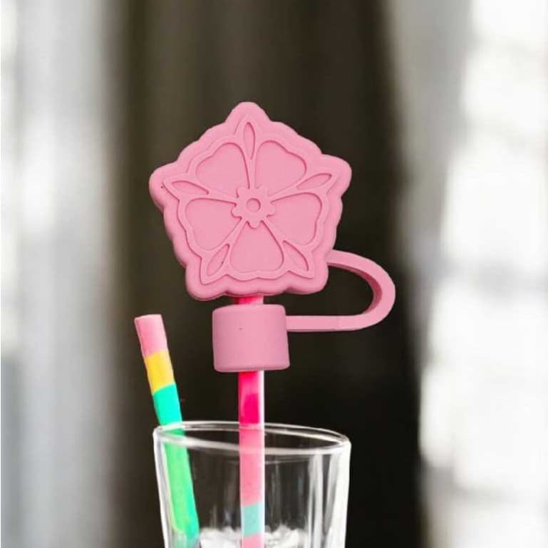 Tampa Canudo 8mm Silicone Kawaii Higiênica Ursinho Coelho Abacaxi