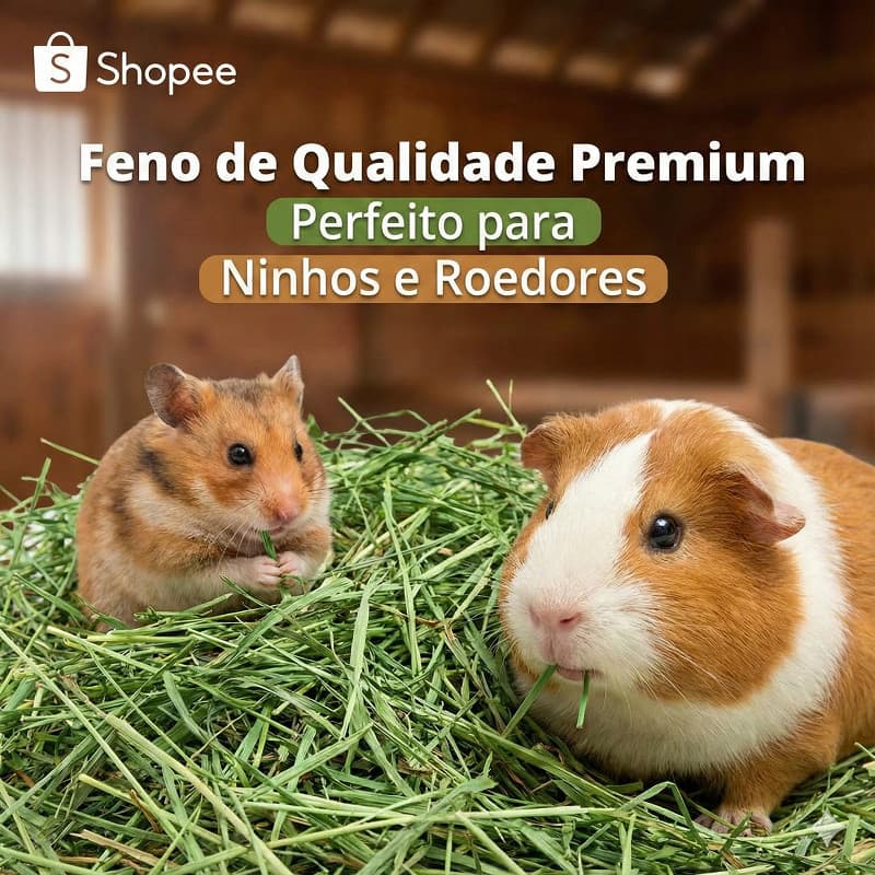 Feno Premium Verdinho e Cheiroso - Para Roedores, Coelhos, Chinchilas e Ninhos - 500g a 5kg