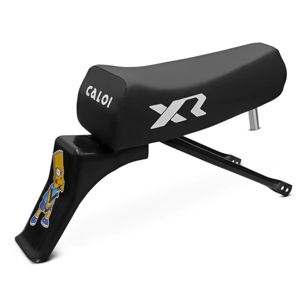 Banco Mobilete Paralama Xr Para Bicicleta Bikes Aro 20 E 24