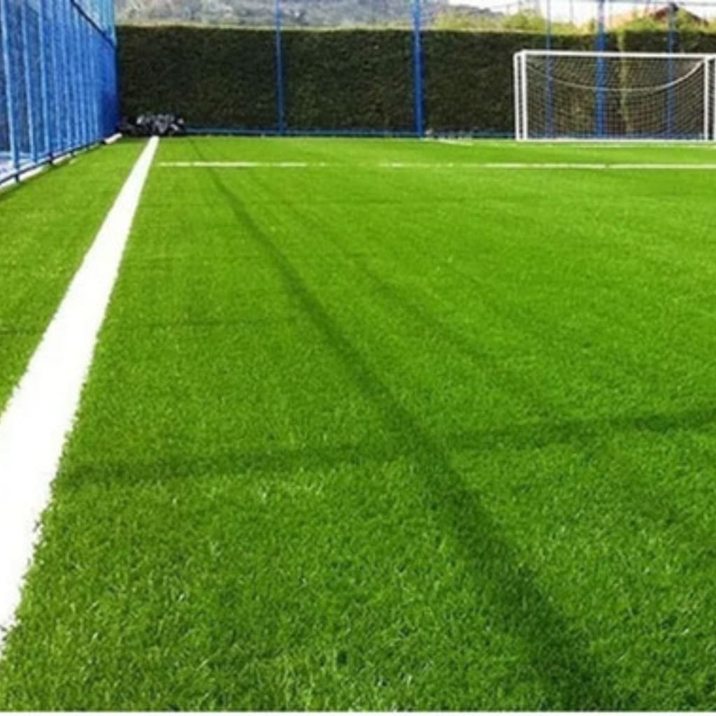 7000 Sementes De Grama Bermuda Campo De Futebol (20m²)