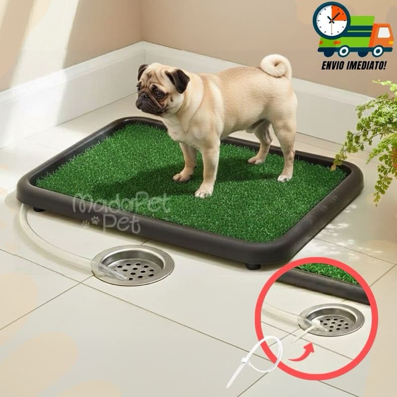 Banheiro Sanitário Com Dreno e Mangueira Lavável Para Cães Tapete Higiênico Grama Sintética Promoção
