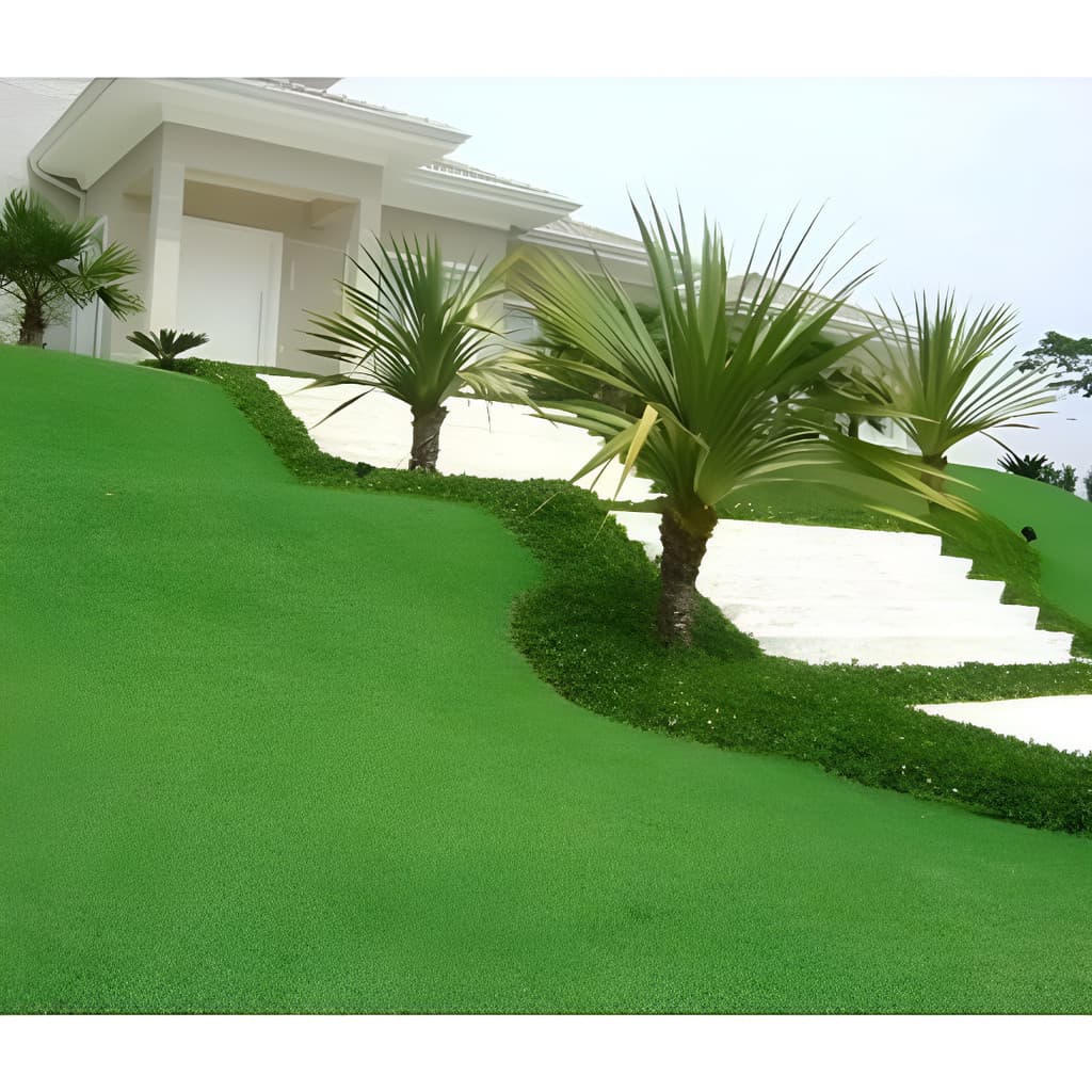 1000 Sementes Grama Esmeralda Para Pronta Entrega