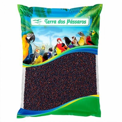 Semente de Colza - 500g