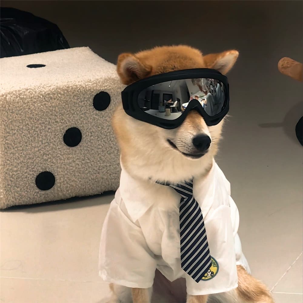 Óculos para Cães Grandes – Proteção UV, À Prova d’Água e Transparente