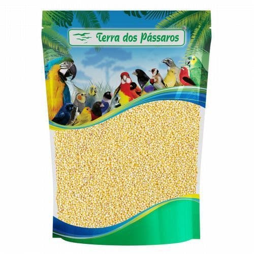 Painço em grãos descascado - 500g