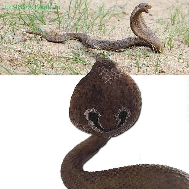[MYBR] Simulação Realista Cobra Modelo Brinquedo Jardim Piada Brincadeira Presente Complicado De Halloween [WELL]