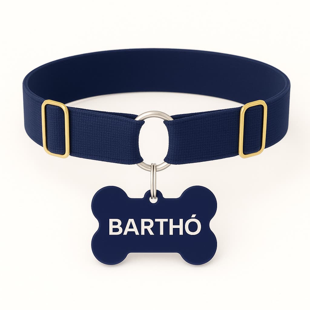 Coleira para Cães Yoo Pets com Plaquinha Gravada Nome e Telefone Sem Fecho