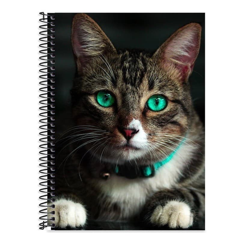 Caderno   Gatinho  10 Matérias