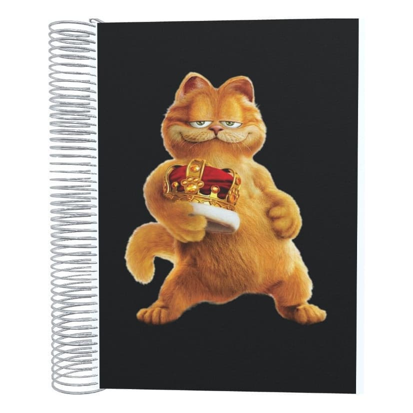 Caderno   Garfield 10 Matérias