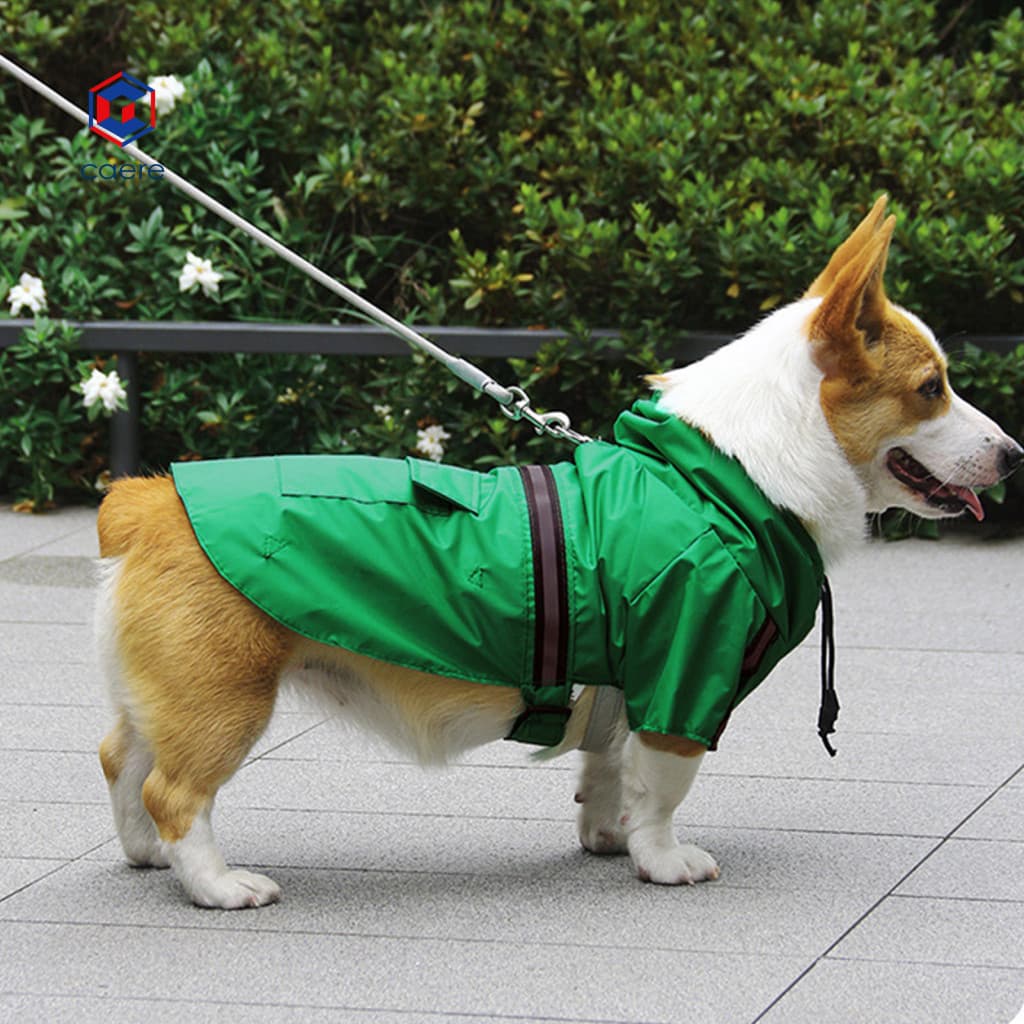 Capa De Chuva Para Animais De Estimação Com Trela , Cachorro Reflexivo Visibilidade , Faixa Elegante À Prova D'água E Pequenos A Médios
