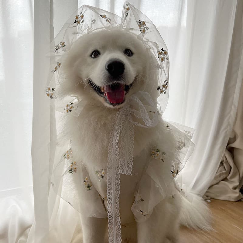Cão De Estimação Médio Grande Primavera/Verão Roupas De Inverno Fino Terno De Casamento Vestido Samo Golden Retriever Fr