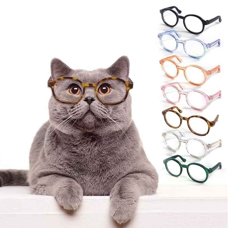 Óculos Para Gatos , Transparentes Animais De Estimação , Acessórios De Personalidade , Fotografia De Plástico , Adereços