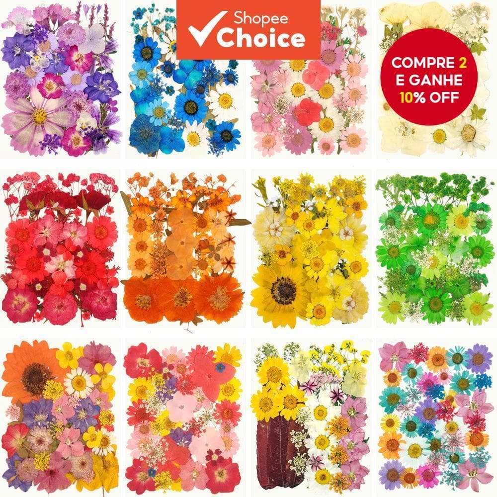 Flor Seca Prensada para Artesanato de Bricolage, Arte de Unhas e Molduras Fotográficas