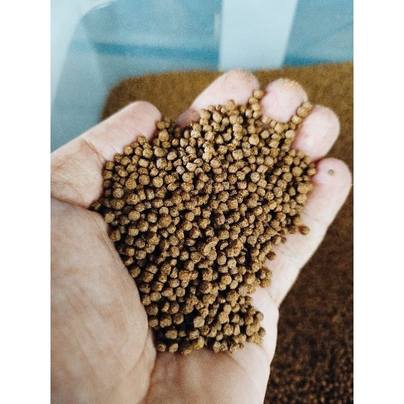 100gr Ração para Tartarugas Répteis e Peixes Filhotes