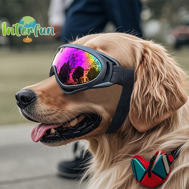 [InterfunB] Óculos Para Cães De Raça Média E Grande , De Sol , Alças Ajustáveis , Proteção UV Cachorro , Cachorrinho , P