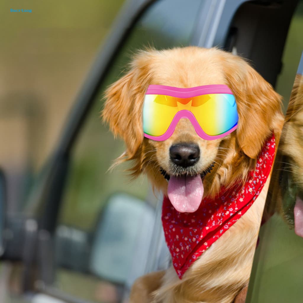 Óculos De Sol Para Animais De Estimação À Prova De Poeira Elegantes Cães Raças Médias A Grandes Protegem Os Olhos Do Seu
