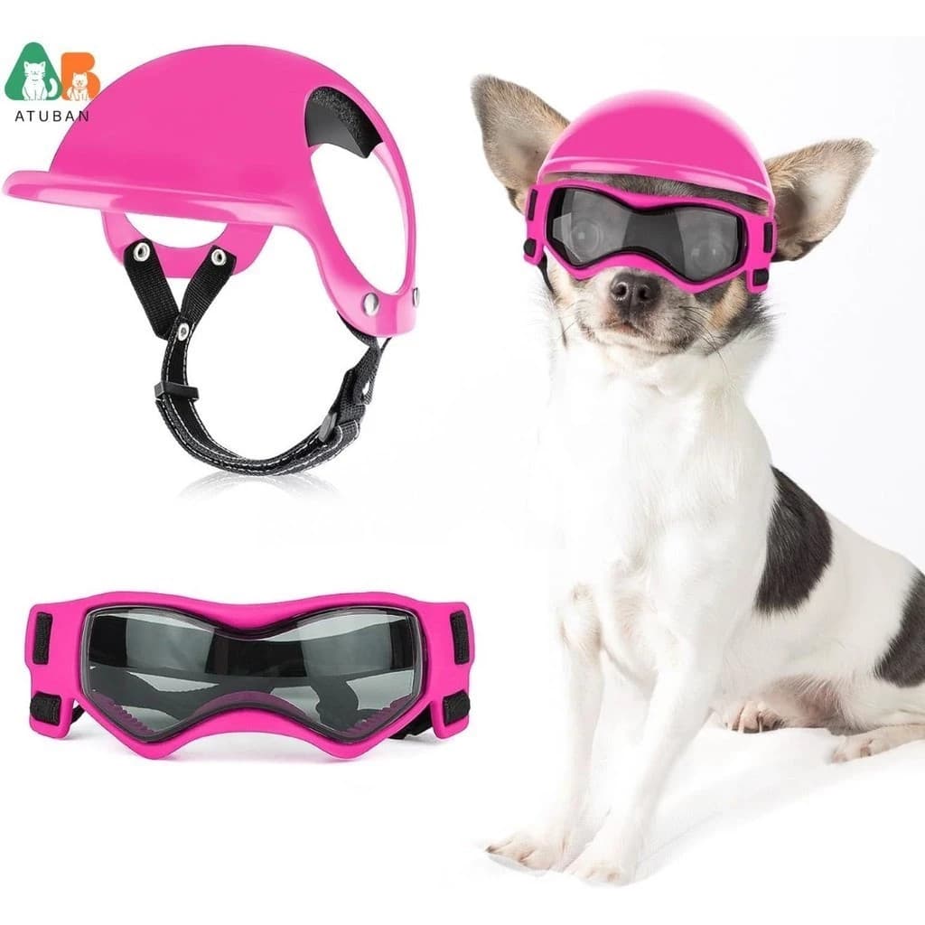 Capacete E Óculos Para Cães , Chapéu Pequeno Motocicleta Com Alças Ajustáveis Passear Seu Cachorro