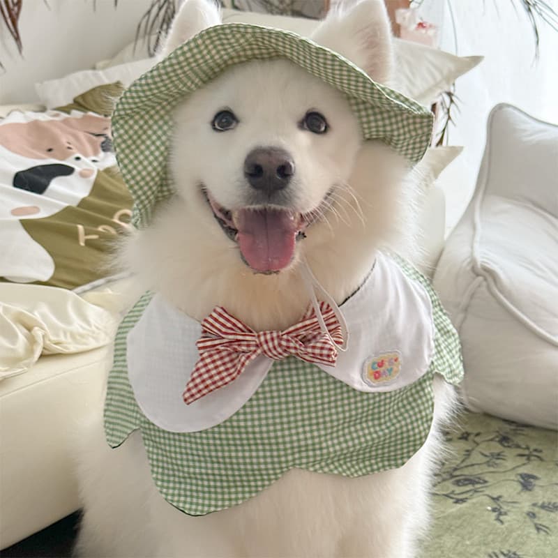 Primavera E Verão Fino Labrador Cão De Estimação Chapéu De Sol Golden Retriever Samoyed Border Collie Grande nnZm