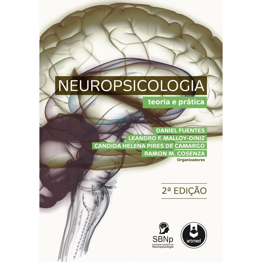 Livro Neuropsicologia teoria e pratica - Novo DFP