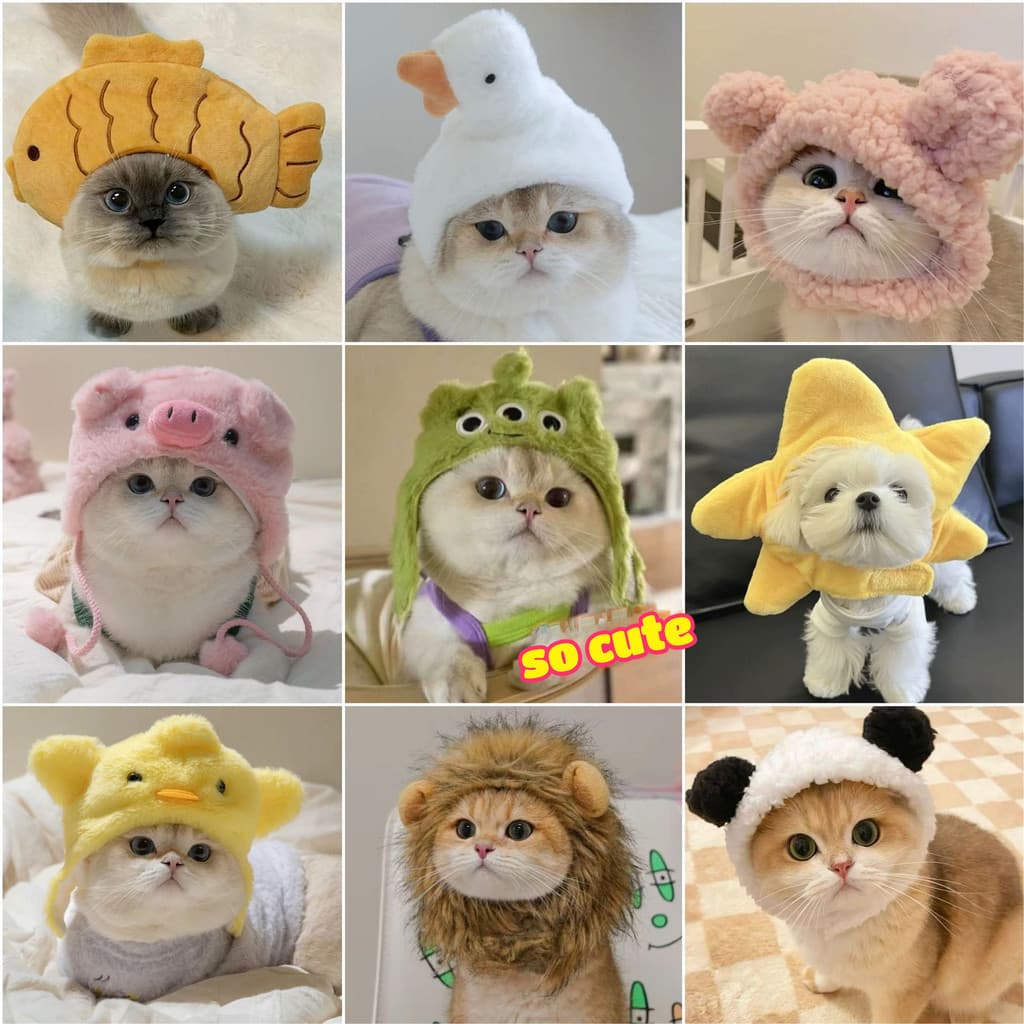 Chapéu De Urso De Estimação Gato Engraçado Chapelaria Halloween Cão Traje
