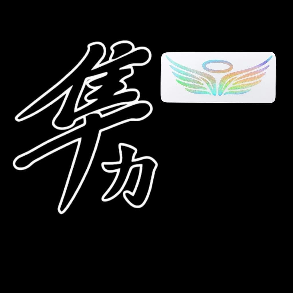 Kit 2 Adesivo Personalizado Hayabusa para Paralama de Moto Honda Titan/Fan – Visual Esportivo Exclusivo