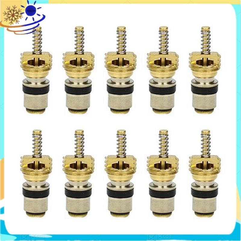 Núcleo De Válvula De Interface Média Fria De Carga Para De Ar Condicionado Elysee Beverly