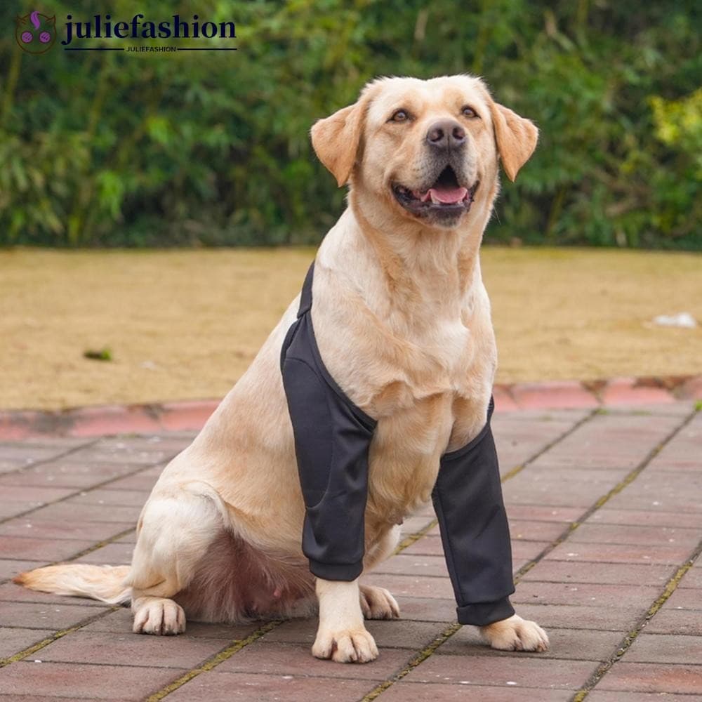 JULIEFASHION Protetor De Cotovelo Para Cachorro , Anti-Lamber , Ferida , Macio , Respirável , Alívio Da Dor , Suporte De