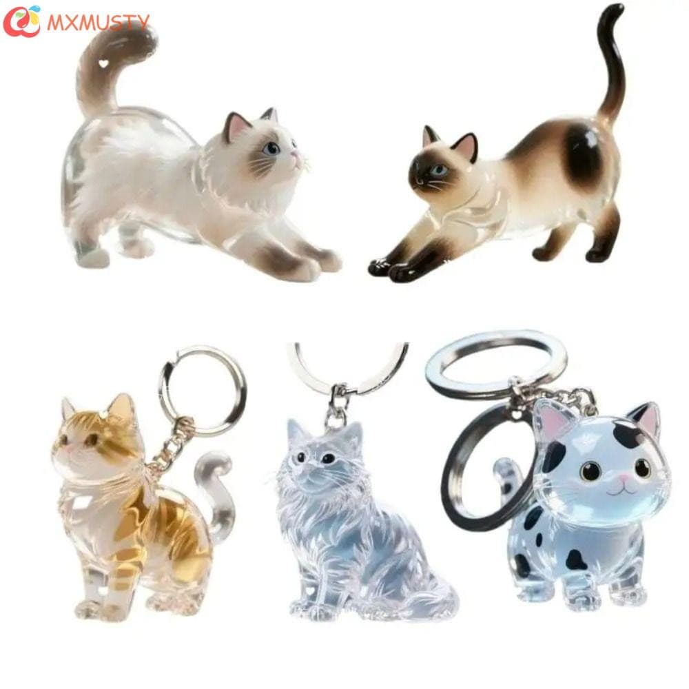 Chaveiro Acrílico De Cabelo De Gato MXMUSTY , Caixa Transparente De Armazenamento De Pêlos Siamês , Portátil