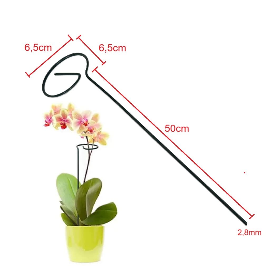 6 Unid Haste Tutor Estaca Fácil Para Flores Planta 6,5x50cm 
