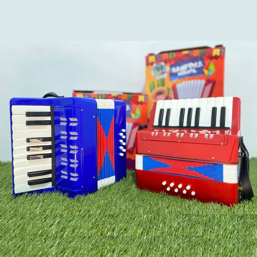 Acordeon Sanfona Gaita Infantil 8 Baixos 17 Teclas Brinquedo