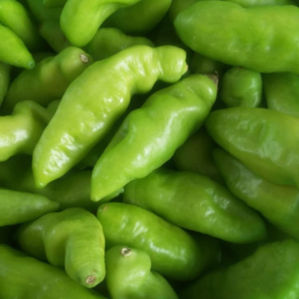 viva a natureza  Pimenta De Cheiro Acemira  Sementes Para Plantio