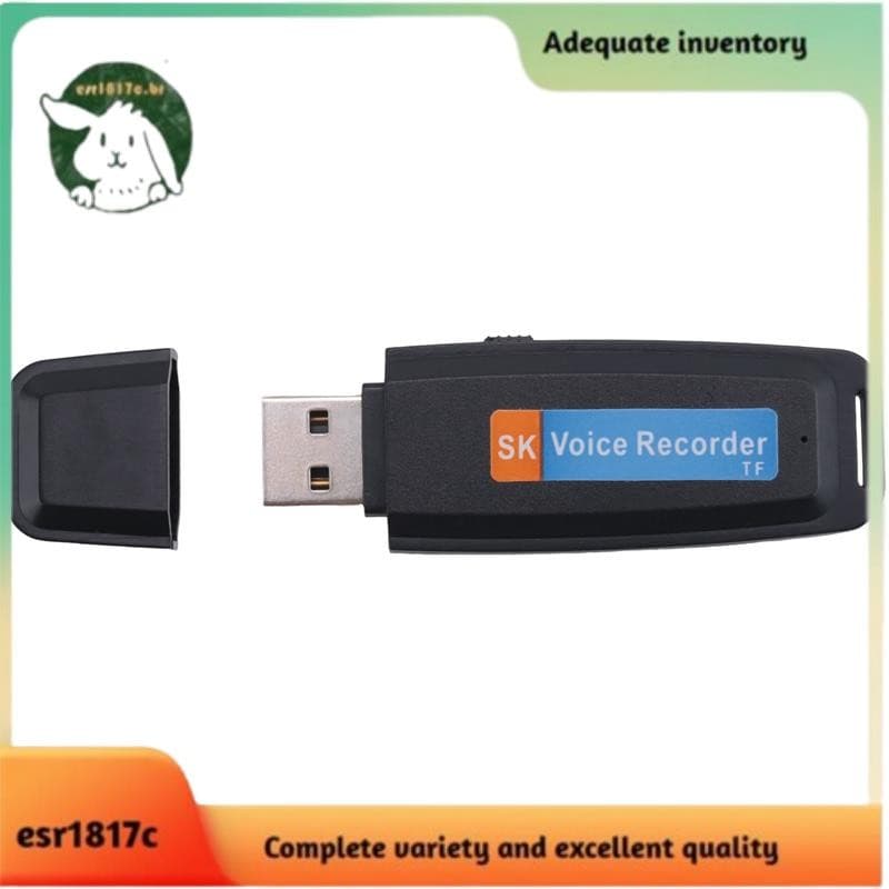Portátil Recarregável U-Disco USB Gravador De Voz De Áudio Digital Mini Ativado Por Ditafone-Preto