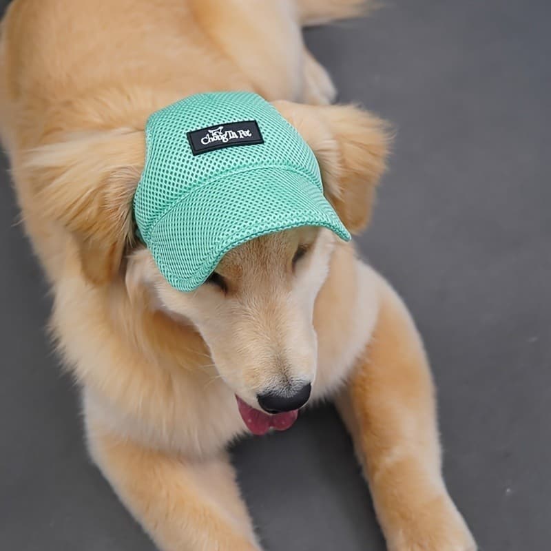 Boné De Beisebol Respirável Para Cães Com Furos As Orelhas-Chapéu Legal Animais De Estimação De Verão Golden Retrievers E Corgis , Cor Sólida , Lavagem Das Mãos *