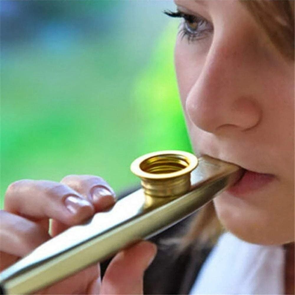 BRBLIFE Metal Kazoo , Instrumentos Aprendam Facilmente Diafragma Boca Kazoos , Flautas De Musicais Destacáveis