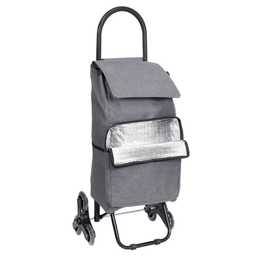 Carrinho Compras Feira Térmico Sobe Escada 40kg
