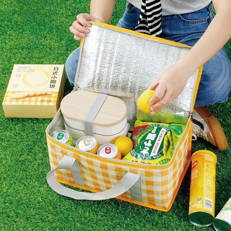 Bolsa Térmica Dobrável Multiuso Retrátil– Para Marmita, Piquenique, Praia e Viagem
