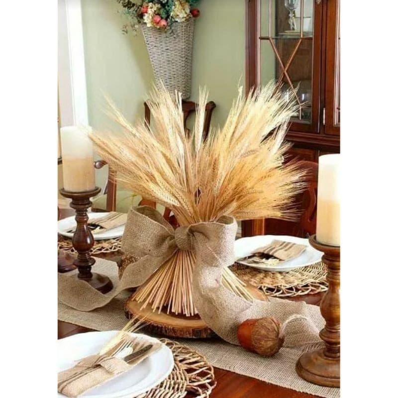 200 Hastes De Trigo Seco Decoração Aranjos