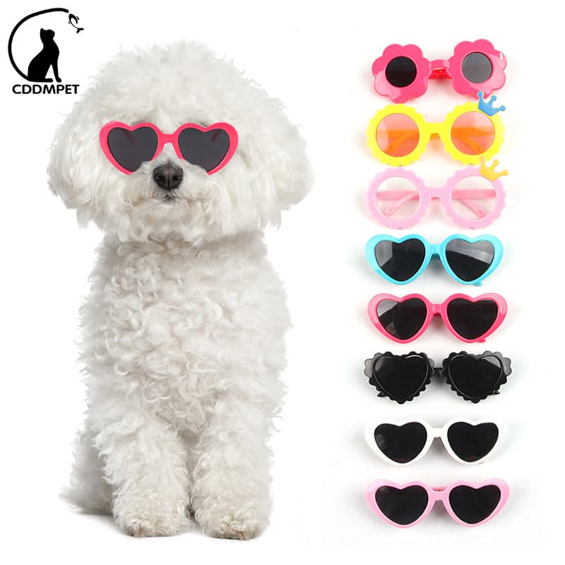 Engraçado Gato De Estimação Pequeno Cachorro Óculos De Sol Fotos Adereços Acessórios